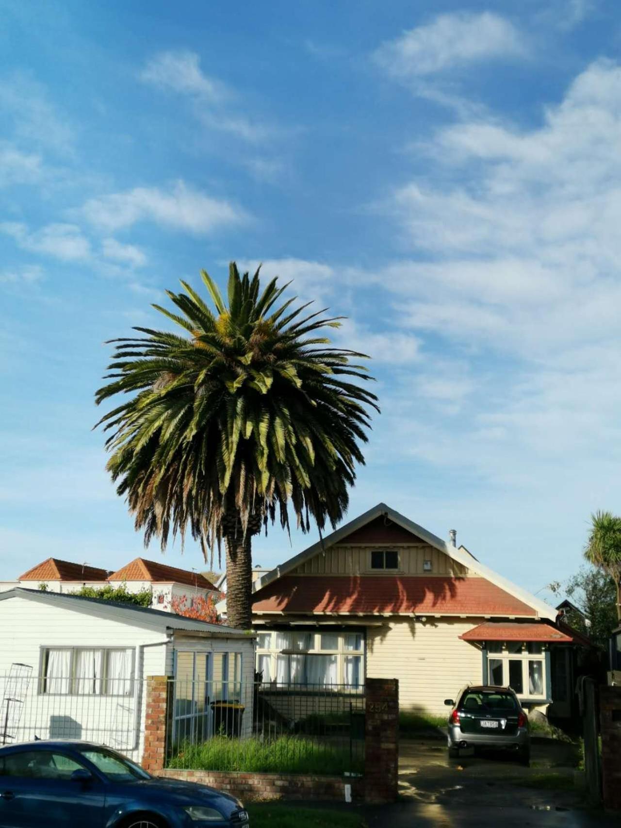 Christchurch Cbd Backpacker2 Екстериор снимка